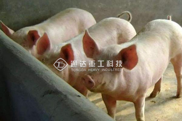 养殖场粪便怎么处理变成有机肥?养猪厂粪污有机肥生产线如何建?  