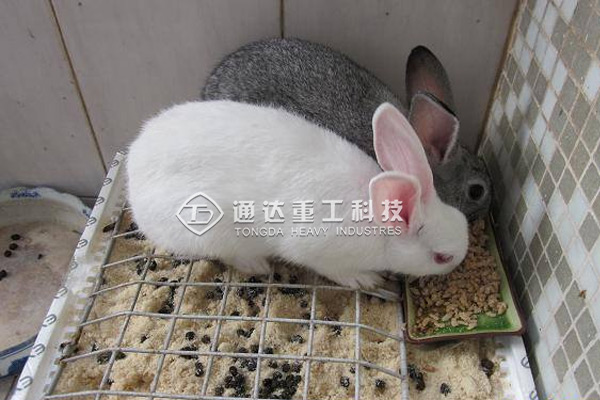 兔粪有机肥生产线怎么配置?兔粪做有机肥需要什么? 