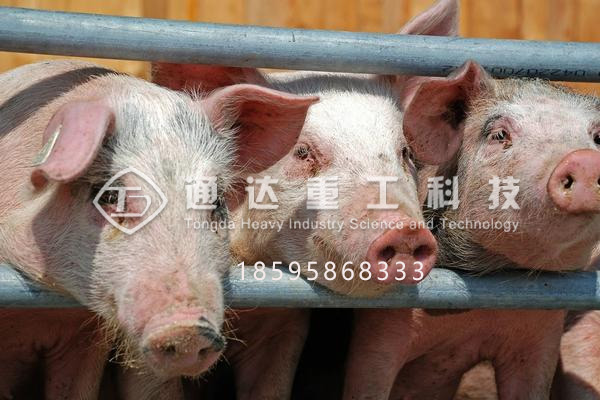 猪粪有机肥加工设备